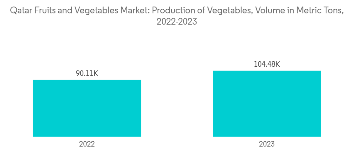 Qatar Fruits And Vegetables Market Trends Qatar Fruits and Vegetables Market: Production of Vegetables, Volume in Metric Tons, 2022-2023